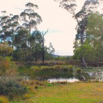 Freycinet Eco Retreat, Tasmania