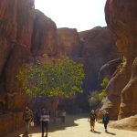 Petra, Jordan with Travel Talk Tours